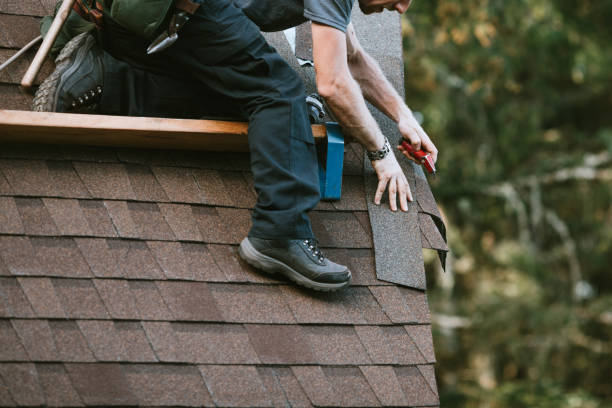 Best Metal Roofing Contractor  in Ste Genevieve, MO